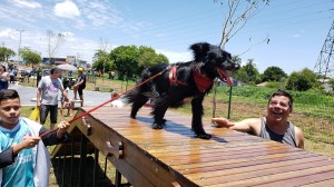 Pinhais inaugura primeiro parque da região com área específica para cães 2 20191201_114224