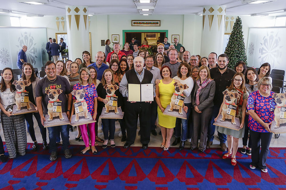 Sancionada lei que proíbe fogos de artifício com barulho em Curitiba 5 fogos de artifício com barulho