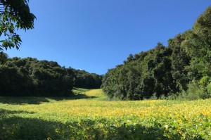 Agudos do Sul 2 turismo05