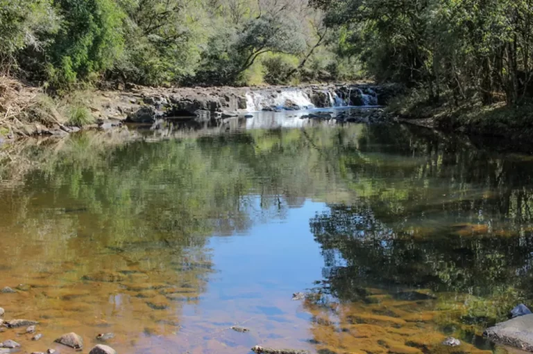 Altamira do Paraná