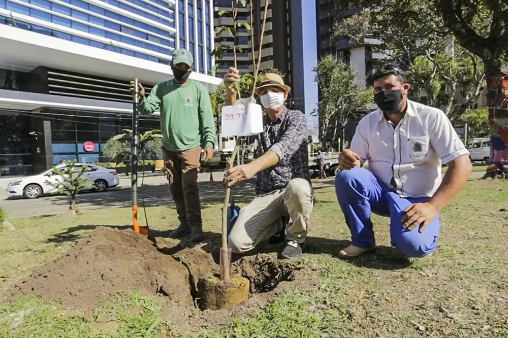 Antes do prazo, Curitiba atinge meta de plantio de 100 mil árvores 2 100 mil árvores