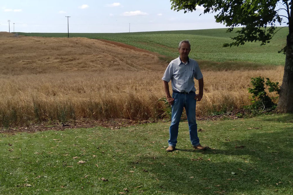 A escassez de chuvas no Paraná interfere na produção de alimentos 4 governo 02 A escassez de chuvas no Paraná interfere na produção de alimentos