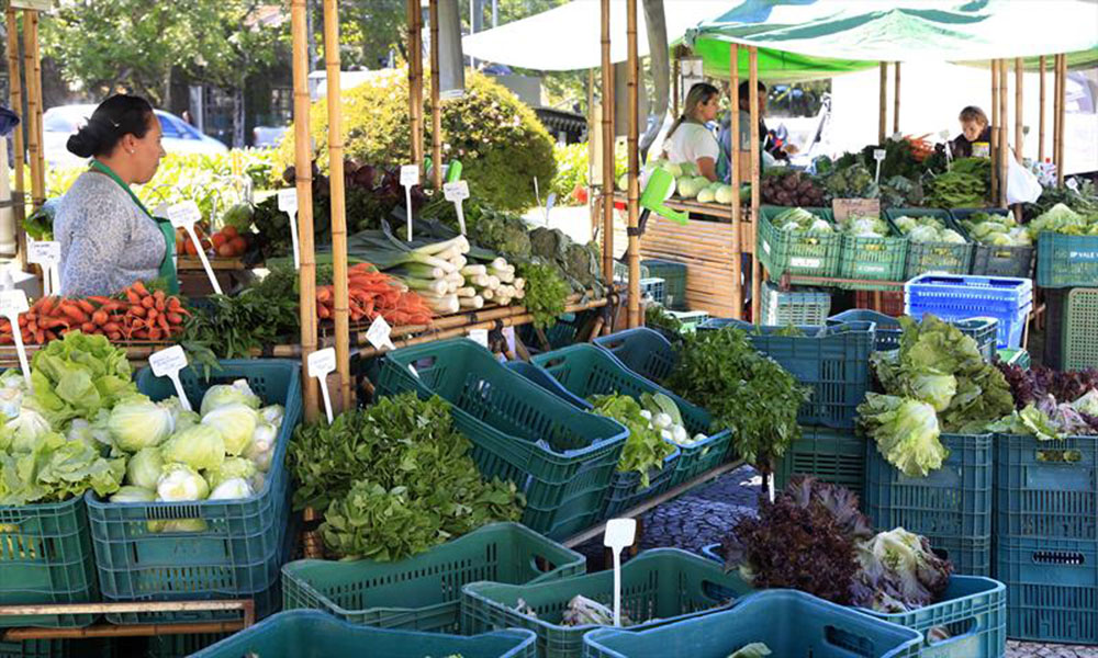 Deputados pedem a Greca o retorno das feiras livres em Curitiba 6 alep feiras livres Deputados pedem a Greca o retorno das feiras livres em Curitiba