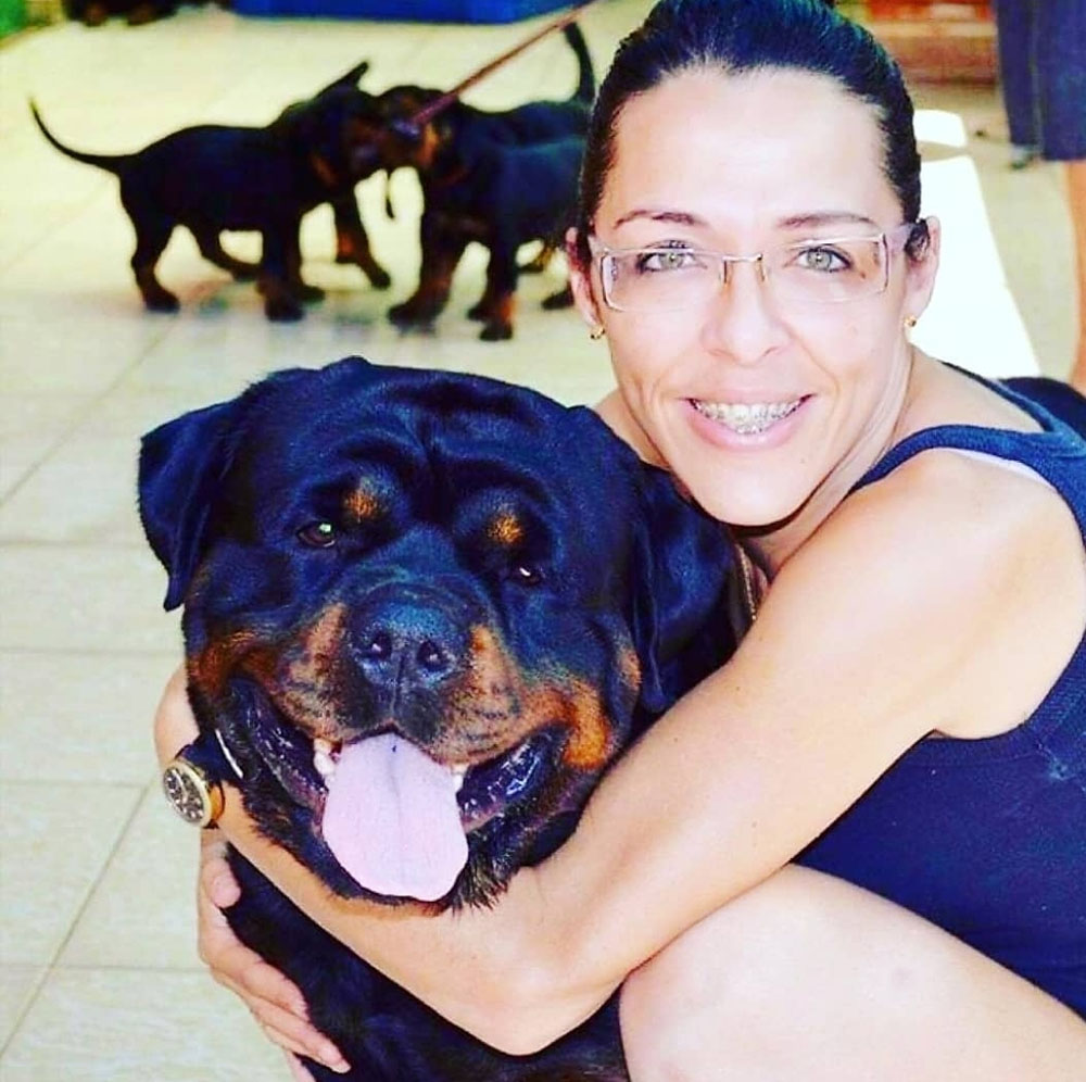 O impacto da pandemia no comportamento dos cães 1 comportamento canino O impacto da pandemia no comportamento dos cães