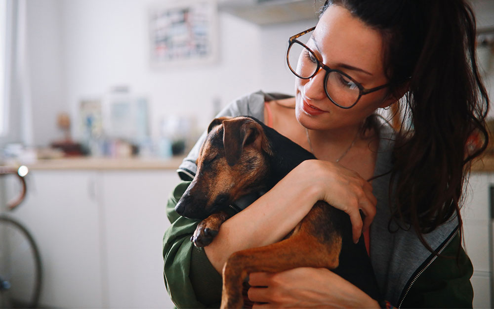 Sete razões para adotar um cão (em vez de comprar) 9 Adocao pet Sete razões para adotar um cão (em vez de comprar)