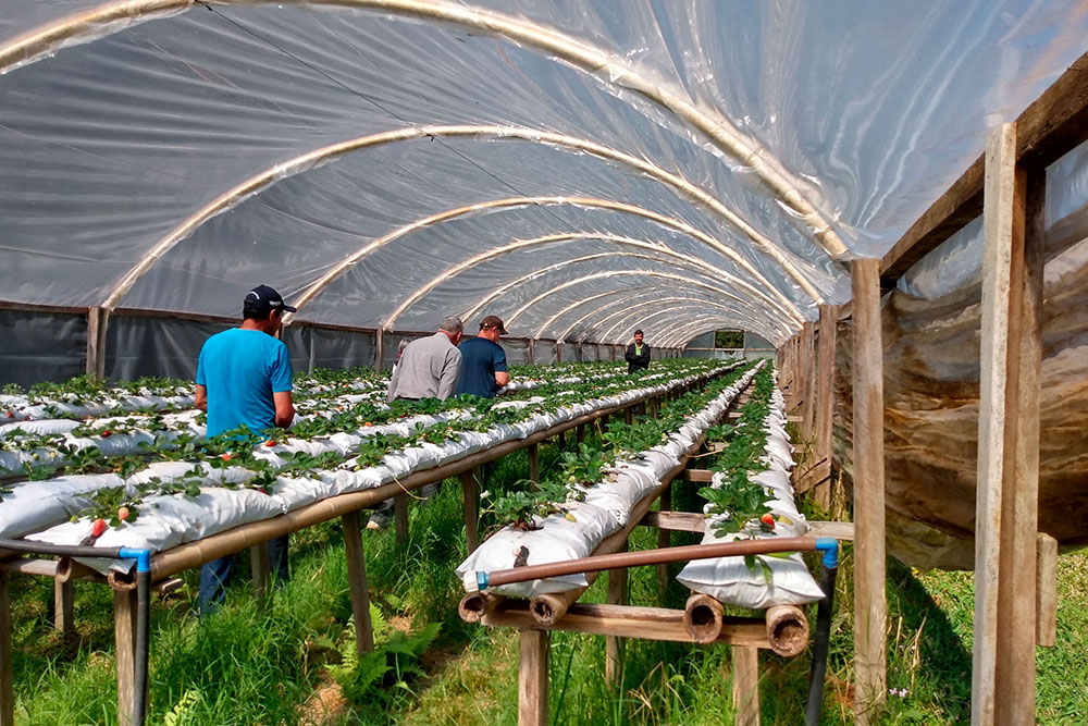 Governo publica edital de R$ 27 milhões para o programa Compra Direta Paraná 8 governo compra direta Governo publica edital de R$ 27 milhões para o programa Compra Direta Paraná