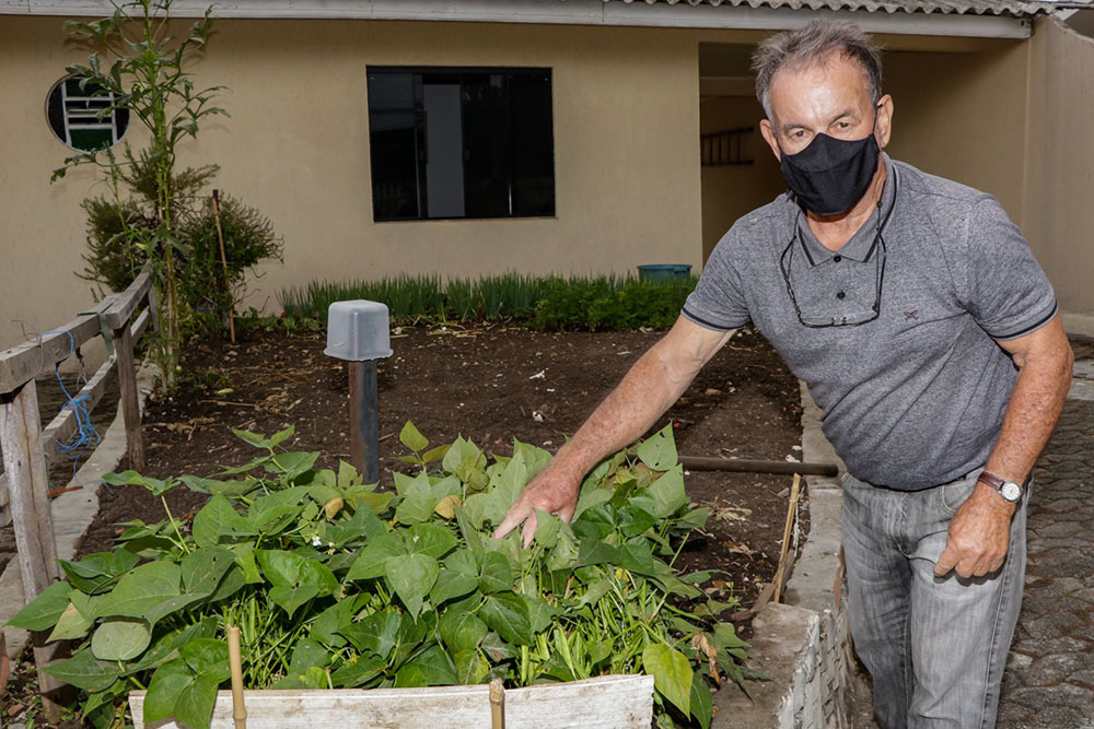 Programa incentiva a agricultura urbana em Pinhais 4 pinhais agricultura urbana Programa incentiva a agricultura urbana em Pinhais