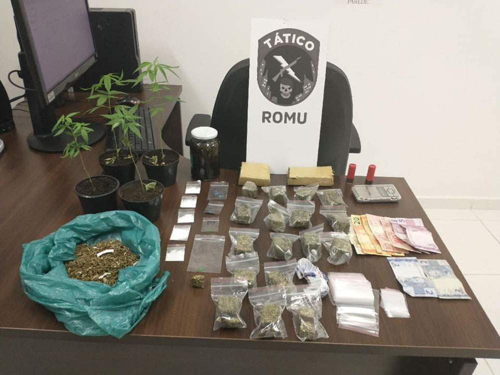 Guarda Municipal de Pinhais descobre apartamento usado para o plantio de maconha 2 pinhais guarda municipal Guarda Municipal de Pinhais descobre apartamento usado para o plantio de maconha