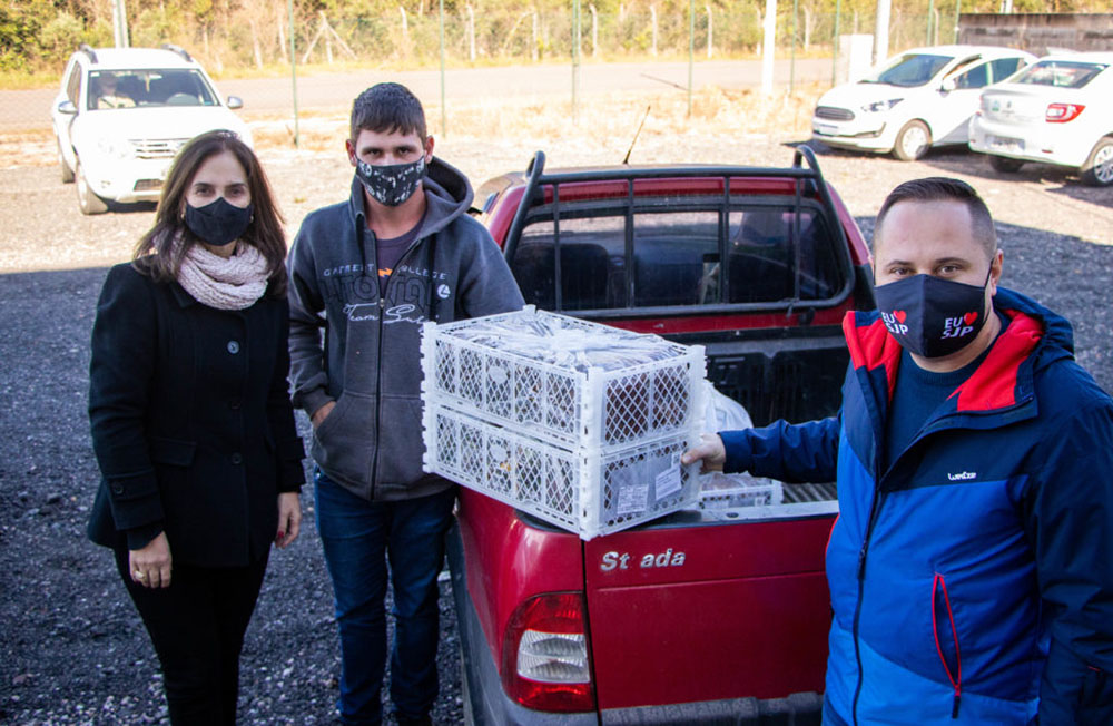 Programa Plante Mais distribui 400 mil mudas de morango em São José dos Pinhais 1 sao jose pinhais morango Programa Plante Mais distribui 400 mil mudas de morango em São José dos Pinhais