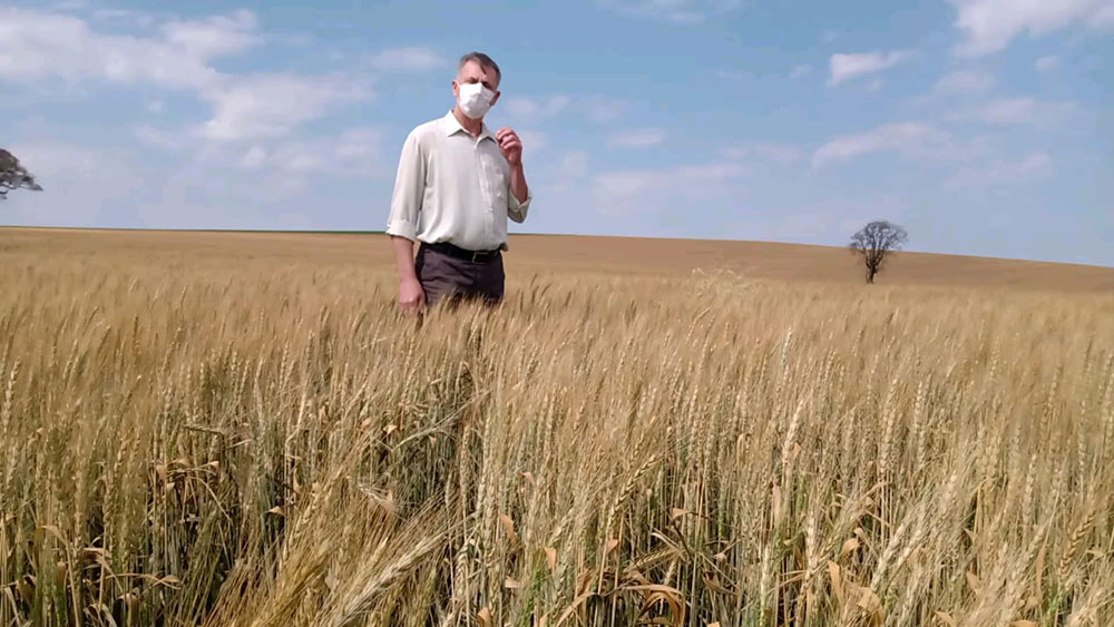 Luizão Goulart defende seguro rural e renegociação de dívidas a produtores atingidos por geadas 6 Preocupado com a situação causada pelas geadas em diversas lavouras do Paraná, o deputado federal Luizão Goulart (Republicanos/PR) visitou algumas plantações e viu de perto os desafios enfrentados pelos produtores