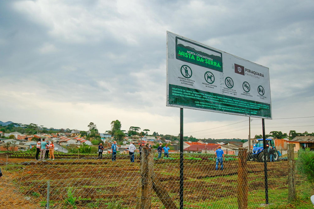 Prefeitura de Piraquara viabiliza projeto de Horta Comunitária no Residencial Vista da Serra 1 Cada família tem quatro canteiros disponíveis, onde foram plantadas verduras como alface, cheiro verde, couve, rúcula e almeirão