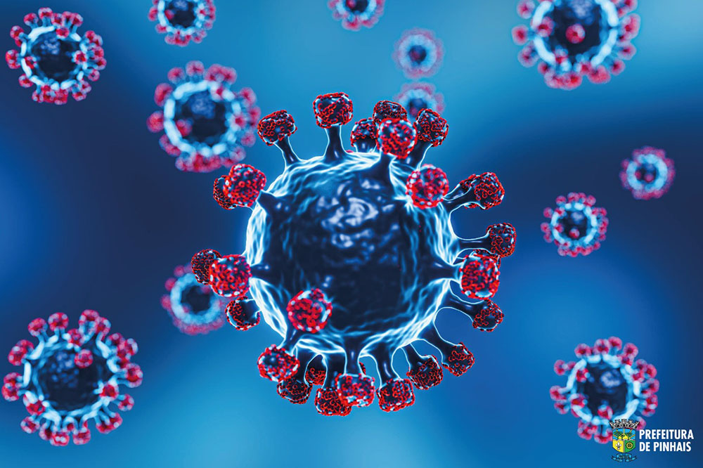 Pinhais fará parte de pesquisa que mostrará o mapa detalhado da Covid-19 no Brasil 2 Pinhais fará parte de pesquisa que mostrará o mapa detalhado da Covid-19 no Brasil