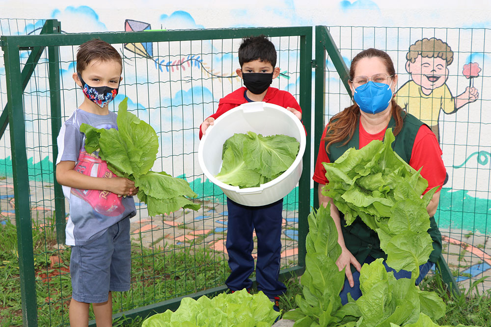 Cmei Rosi Galvão desenvolve o projeto “Plantar, Cultivar e Colher” 7 A atividade é uma ação realizada com os alunos, mas envolve todos os profissionais do Cmei e até a comunidade escolar