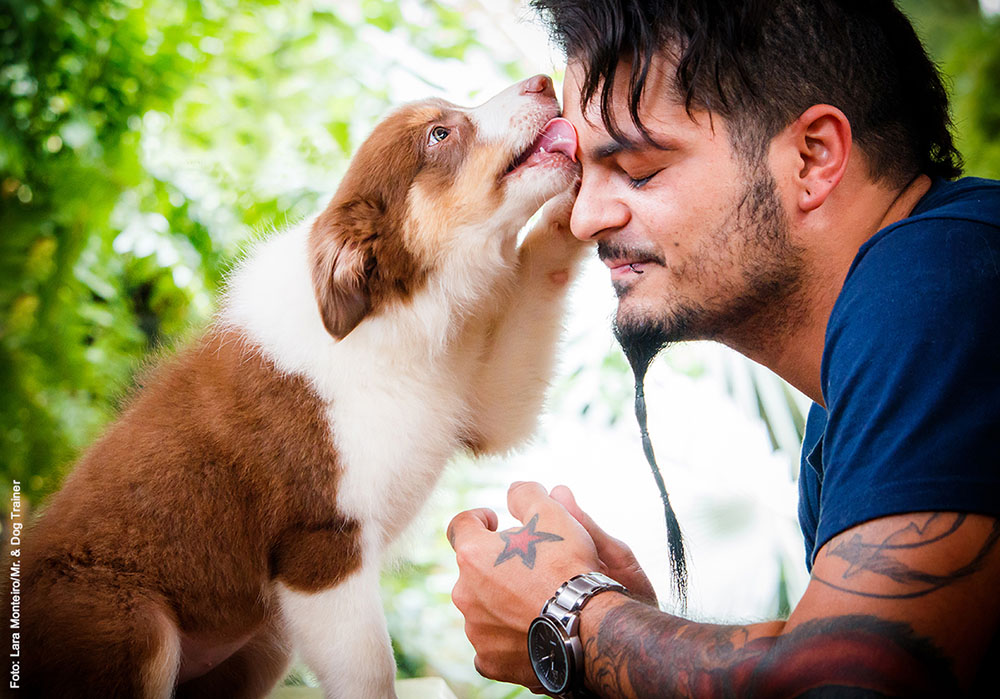 A posse responsável dos pets revela o perfil do caráter do seu tutor 4 cao tutor A posse responsável dos pets revela o perfil do caráter do seu tutor