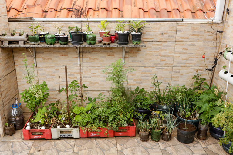 Horta Quintal