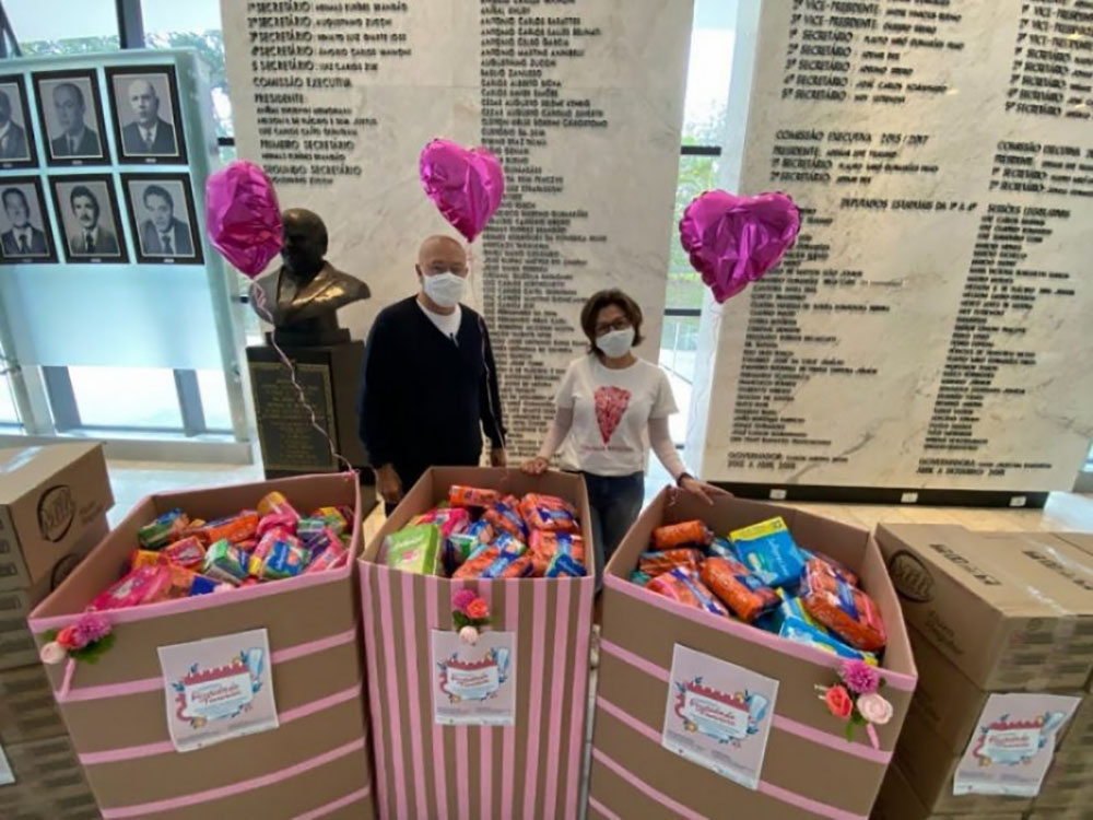 Fim da pobreza menstrual iguala oportunidades de alunas, diz Romanelli 4 pobreza menstrual