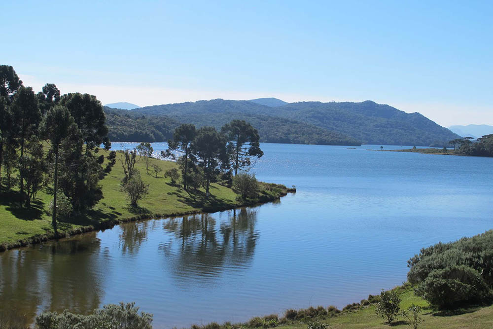 Paraná receberá R$ 930 milhões para investir em projetos ambientais 3 projetos ambientais Paraná receberá R$ 930 milhões para investir em projetos ambientais