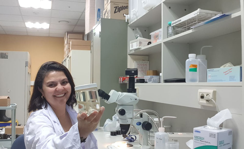 Dicas preciosas que podem reduzir as contas de consumo 7 Francyne Dicas preciosas que podem reduzir as contas de consumo