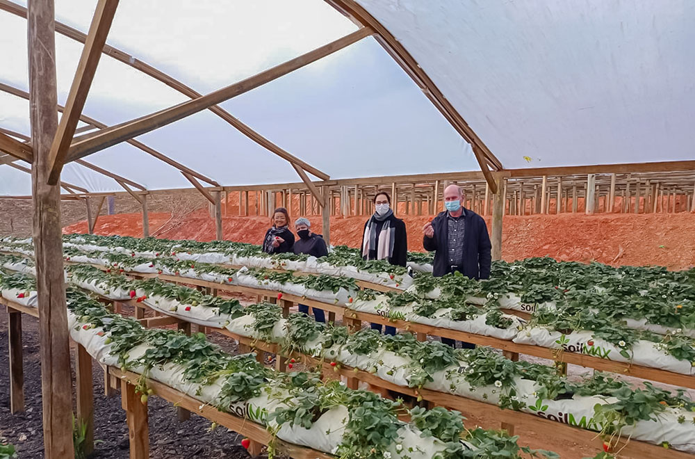 Prefeitura de Campina Grande do Sul é a grande aliada do produtor rural campinense 2 produtor rural Prefeitura de Campina Grande do Sul é a grande aliada do produtor rural campinense