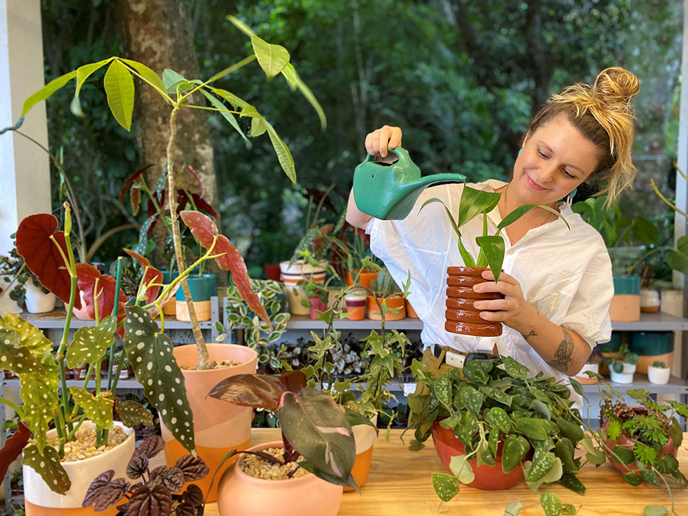 O que fazer ou não na hora de regar plantas 2 regar plantas O que fazer ou não na hora de regar plantas