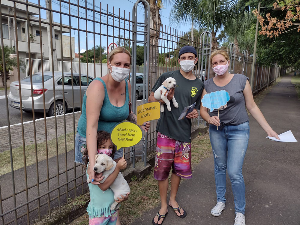 Mais de 90 animais ganharam um novo lar em Pinhais neste ano 7 adocao Mais de 90 animais ganharam um novo lar em Pinhais neste ano