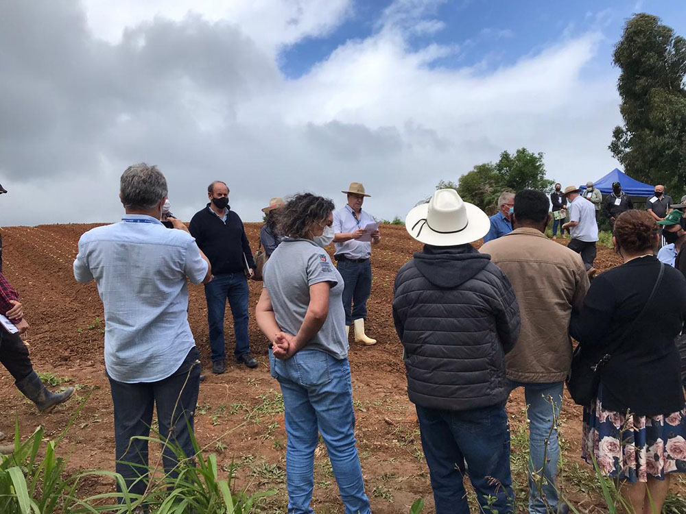 Colombo tem participação destacada em Dia de Campo promovido pelo Instituto do Desenvolvimento Rural do Paraná 8 colombo dia campo Colombo tem participação destacada em Dia de Campo promovido pelo Instituto do Desenvolvimento Rural do Paraná