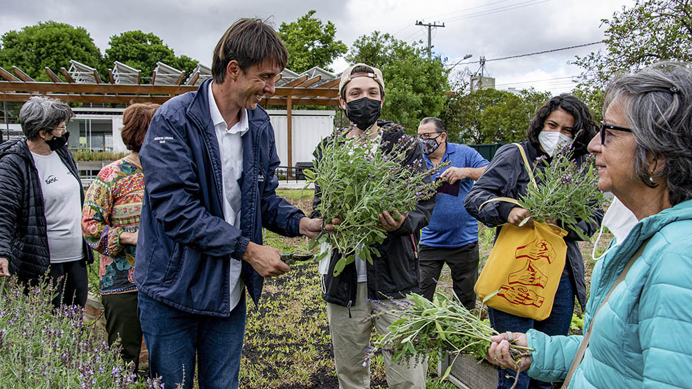 Servidores aposentados de Curitiba aprendem sobre alimentação saudável na Fazenda Urbana 8 fazenda urbana Servidores aposentados de Curitiba aprendem sobre alimentação saudável na Fazenda Urbana