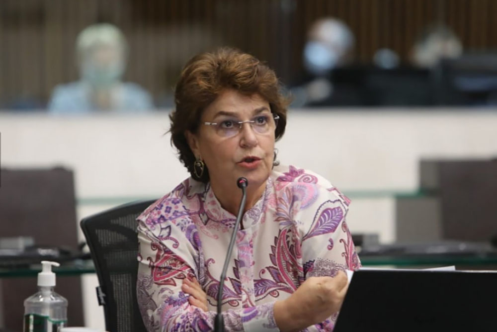 Projeto de lei da deputada Cristina Silvestri institui o Dia de Combate ao Assédio Institucional contra Mulheres 3 alep cristina silvestri Projeto de lei da deputada Cristina Silvestri institui o Dia de Combate ao Assédio Institucional contra Mulheres