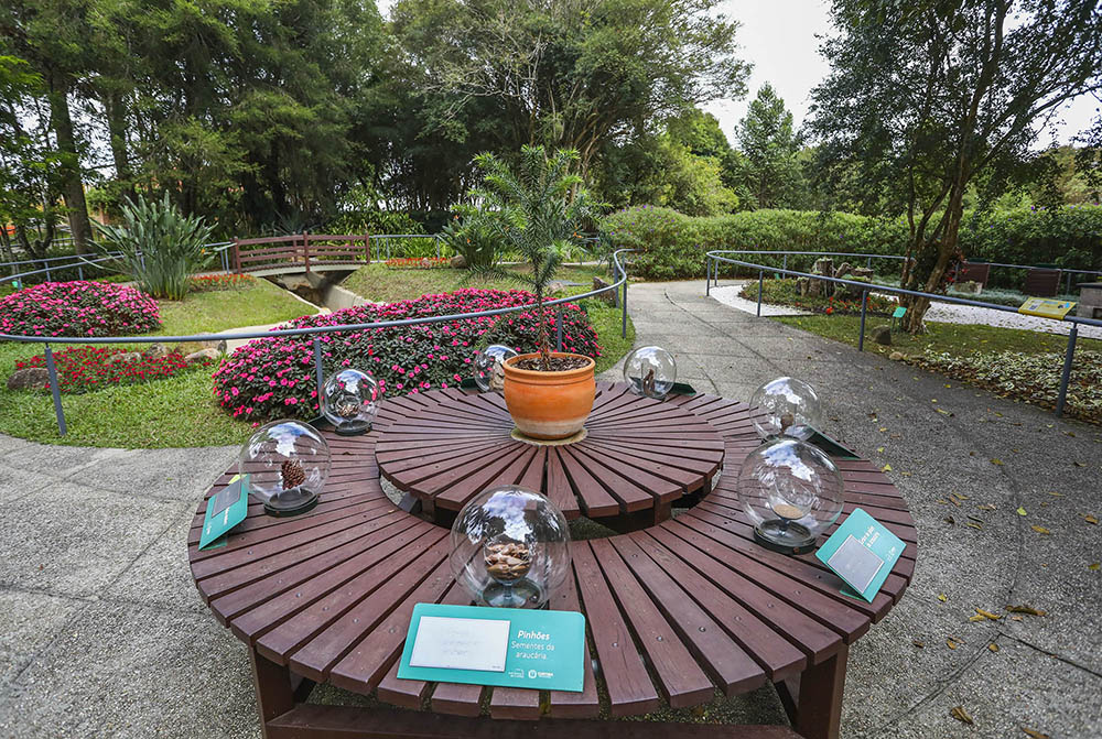 Jardim das Sensações volta a receber visitantes 4 jardim das sensacoes Jardim das Sensações volta a receber visitantes