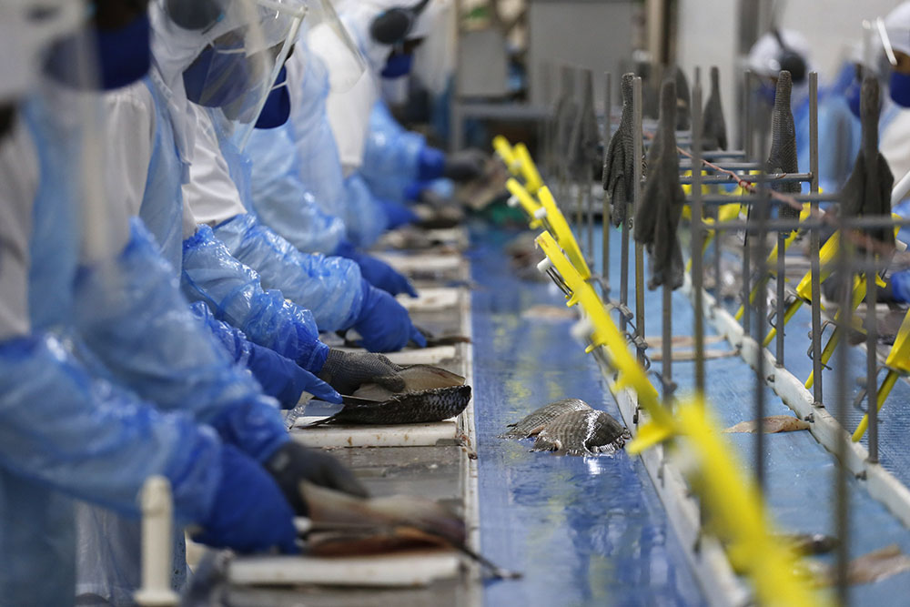 Estado do Paraná criou 18 mil empregos formais em janeiro, 12% do total do País 1 parana emprego Estado do Paraná criou 18 mil empregos formais em janeiro, 12% do total do País