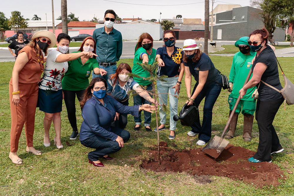 Em 30 anos de emancipação política, vemos uma Pinhais a cada dia melhor 20 Dia da arvore Em 30 anos de emancipação política, vemos uma Pinhais a cada dia melhor
