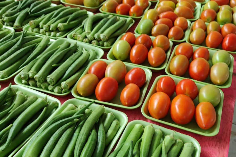 Compras públicas impulsionam produção e consumo de alimentos orgânicos no Paraná 2 governo organicos Compras públicas impulsionam produção e consumo de alimentos orgânicos no Paraná