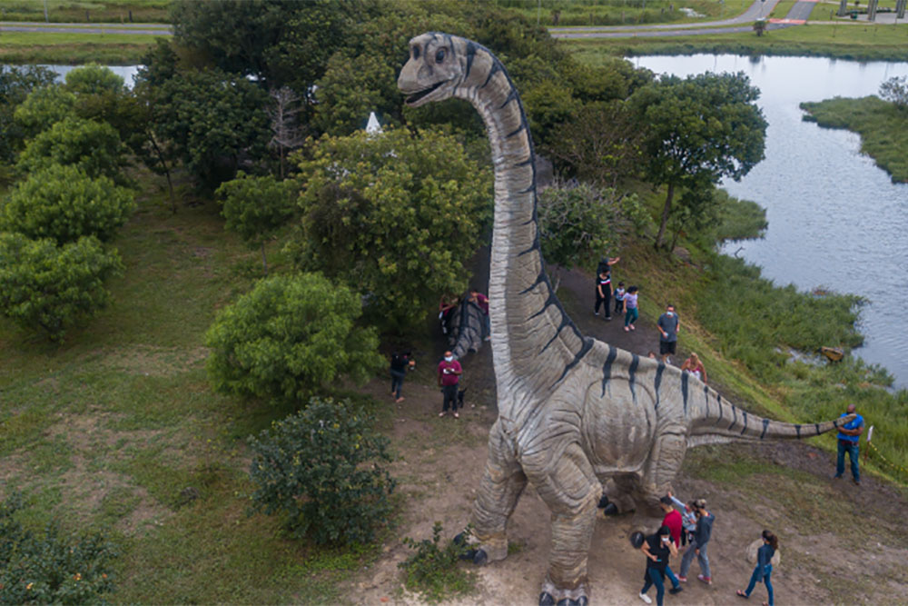 Parque dos Dinossauros recebeu a visita de 140 mil pessoas em Pinhais 6 pinhais parque dinossauros Parque dos Dinossauros recebeu a visita de 140 mil pessoas em Pinhais