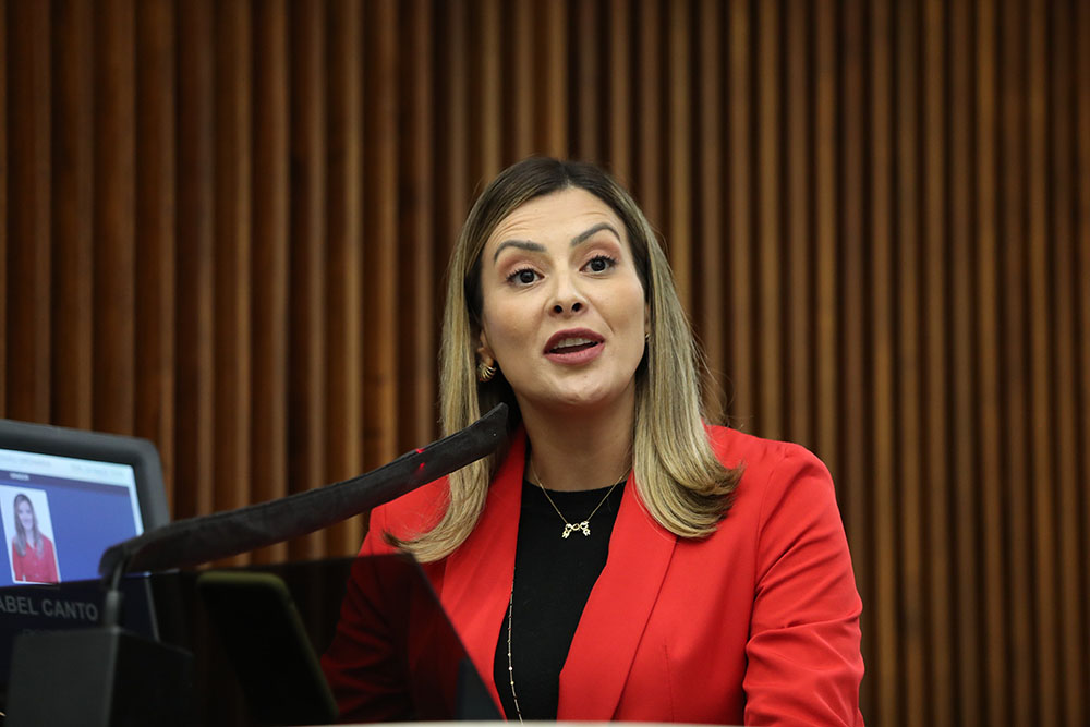 Aprovado projeto que atualiza lei que trata da violência obstétrica no Paraná 3 alep deputada Mabel Canto Aprovado projeto que atualiza lei que trata da violência obstétrica no Paraná