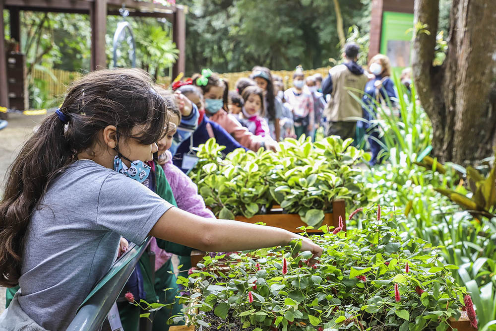 Jardim das Sensações do Jardim Botânico desperta a curiosidade dos estudantes 1 jardim das sensacoes Jardim das Sensações do Jardim Botânico desperta a curiosidade dos estudantes