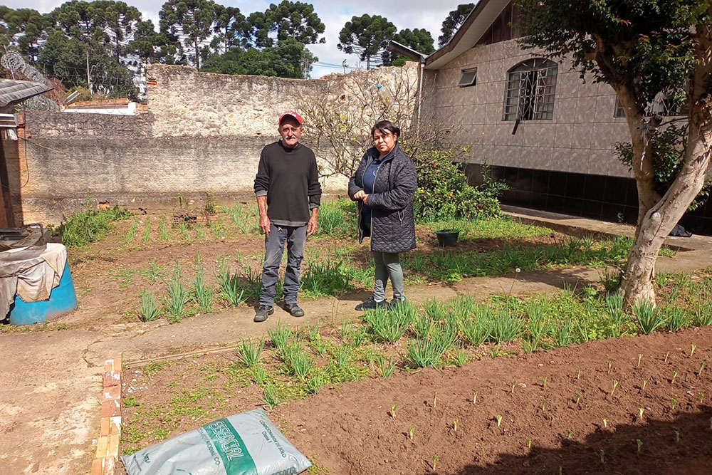 Projeto Horta no Quintal de Casa estimula cultivo de alimentos nas residências de Pinhais 6 pinhais horta quintal Projeto Horta no Quintal de Casa estimula cultivo de alimentos nas residências de Pinhais
