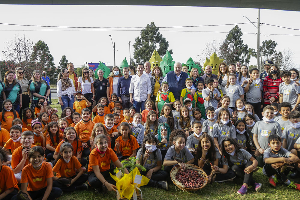 No Dia Nacional da Araucária, estudantes aprendem e ajudam na preservação da espécie 9 dia araucaria No Dia Nacional da Araucária, estudantes aprendem e ajudam na preservação da espécie