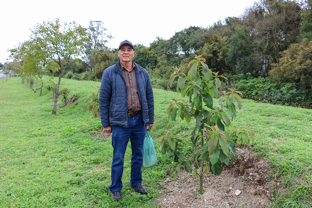 Aposentado Pedro Ferreira Andrade cria pomar em Parque Linear do município de Pinhais 8 pinhais pomar parque linear Aposentado Pedro Ferreira Andrade cria pomar em Parque Linear do município de Pinhais