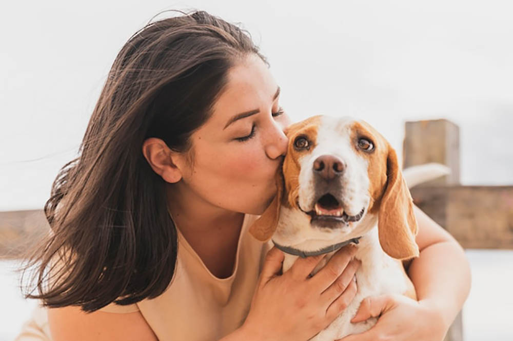 Estudos revelam que acariciar e beijar animais pode transmitir doenças 6 cachorro beijo Estudos revelam que acariciar e beijar animais pode transmitir doenças