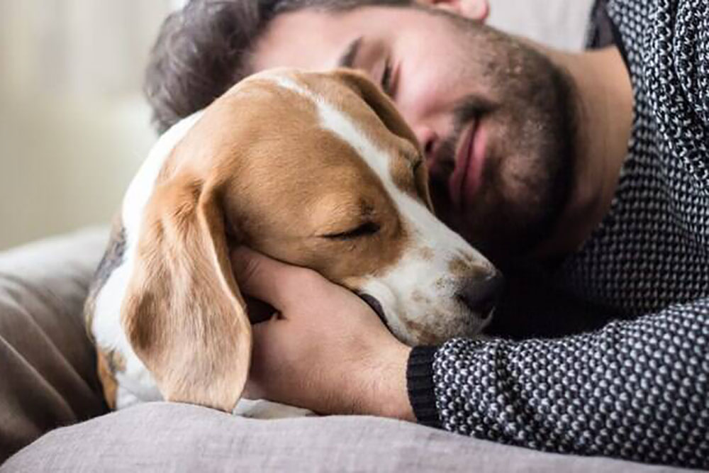 Conviver com cães pode prolongar a vida dos seres humanos 1 conviver caes Conviver com cães pode prolongar a vida dos seres humanos