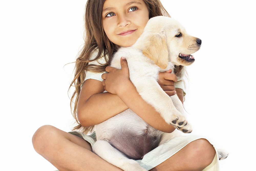 Como preparar o ambiente para a chegada do cão? 4 chegada pet Como preparar o ambiente para a chegada do cão?