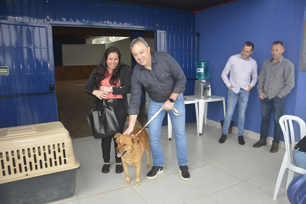 Programa CastraPet Paraná atende 108 animais em Campina Grande do Sul 5 campina castra pet Programa CastraPet Paraná atende 108 animais em Campina Grande do Sul