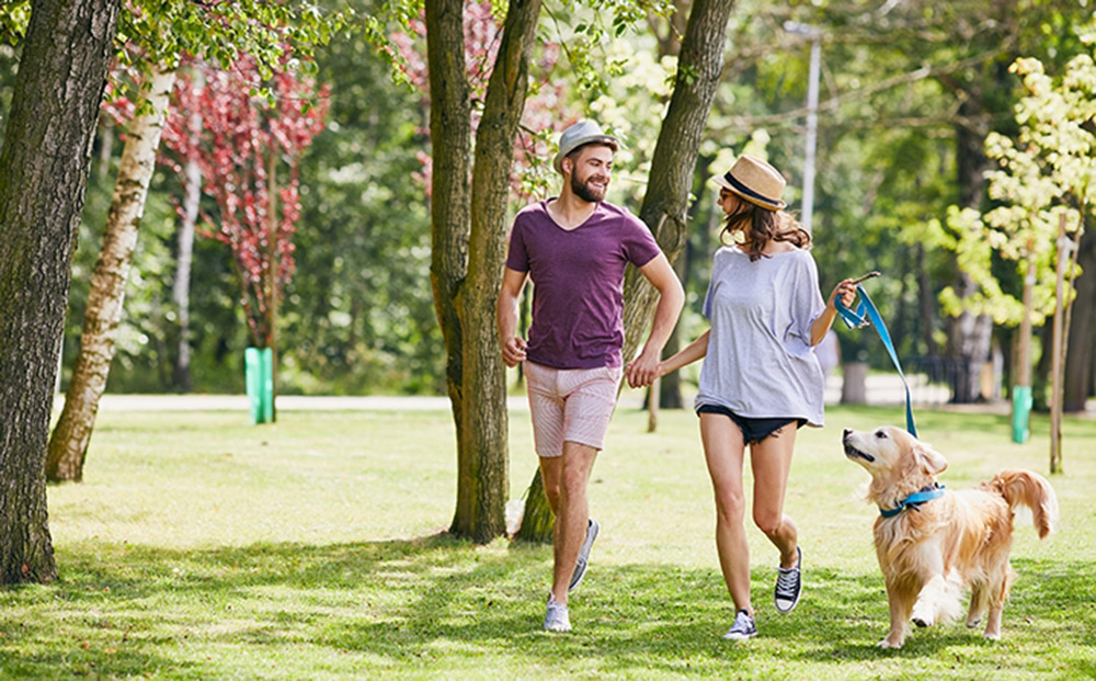 <strong>Cuidados com os pets em eventos públicos</strong> 1 pets <strong>Cuidados com os pets em eventos públicos</strong>