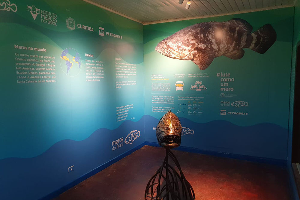 Museu de História Natural Capão da Imbuia ganha espaço dedicado à preservação da vida marinha 1 vida marinha 01 Museu de História Natural Capão da Imbuia ganha espaço dedicado à preservação da vida marinha