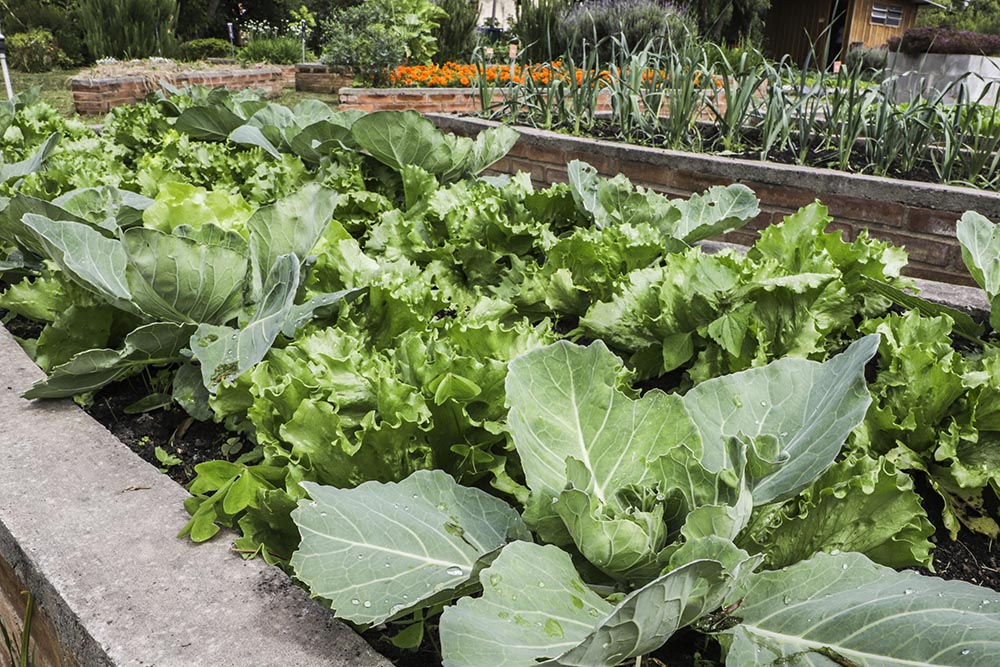 Que tal levar as crianças para fazer um piquenique na Fazenda Urbana de Curitiba? 6 Fazenda Urbana