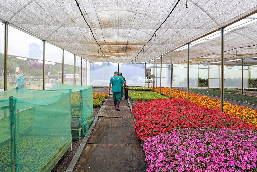 Horto Municipal de Pinhais conta com sistema remoto de irrigação 6 Horto Municipal de Pinhais
