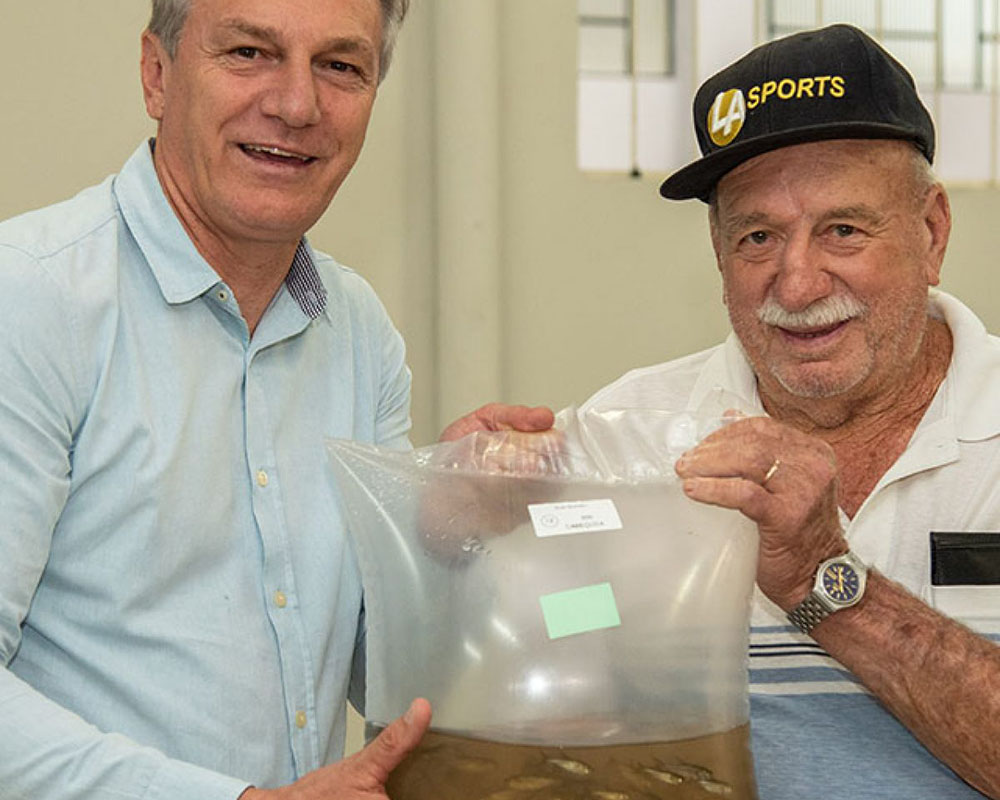 Secretaria de Agricultura e Abastecimento de Colombo realiza entrega 27 mil alevinos 6 Secretaria de Agricultura e Abastecimento de Colombo