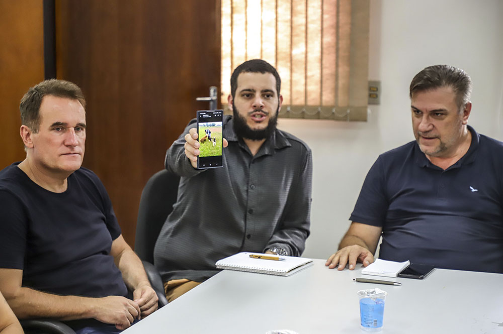 Prefeitura de Curitiba e comunidade se unem para solucionar problemas com cães no Neoville 5 cães no Neoville