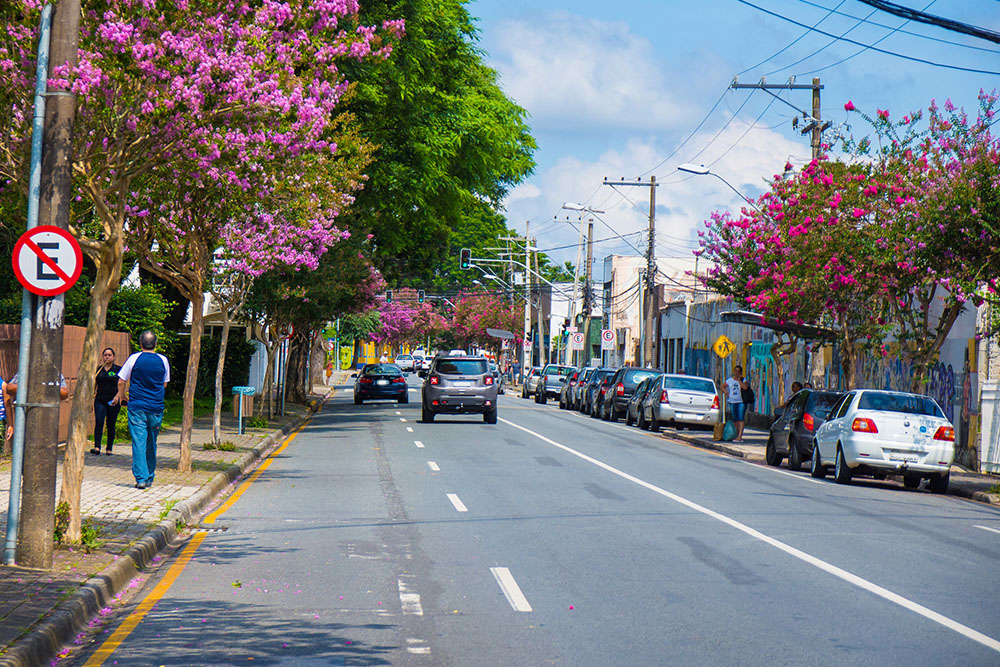 São José dos Pinhais vai iniciar consulta pública para definição das prioridades de investimento 9 consulta pública