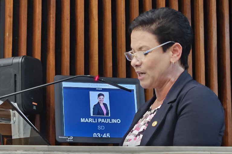 Marli Paulino, deputada estadual